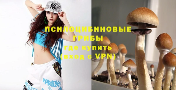 mix Дмитров