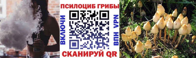 Купить закладки  Невельск  Галлюциногенные грибы мухоморы 